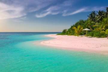 Vakantie 20/7 tot en met 14/8